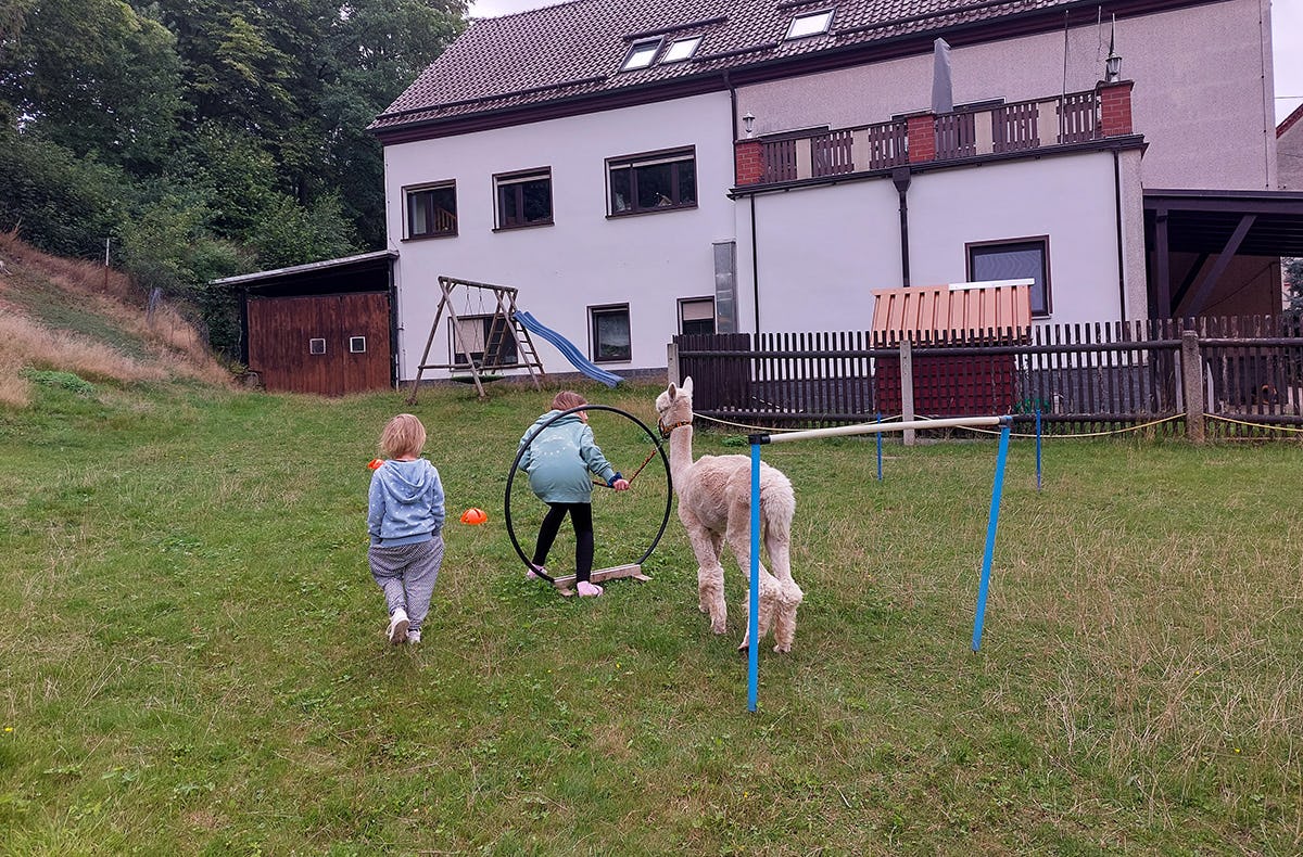 Alpaka Wanderung St. Egidien für 2 mit Kreativprogramm