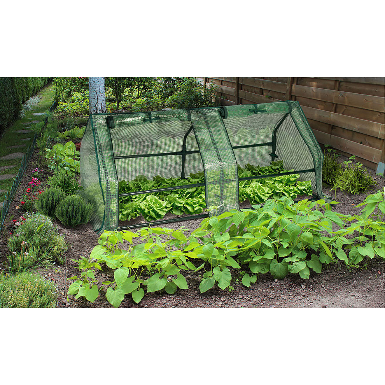 Pratik Garden Serre de forçage blanche - 120x50x50 cm