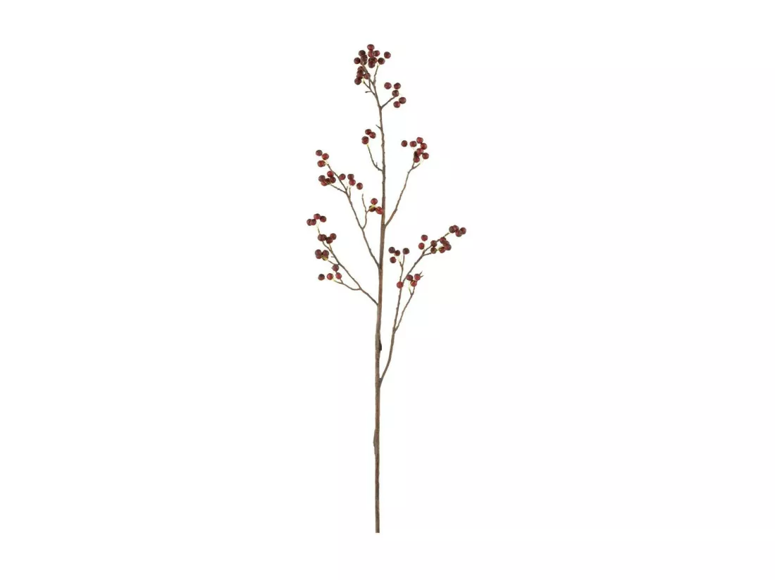 Branche Artificielle de Baies 