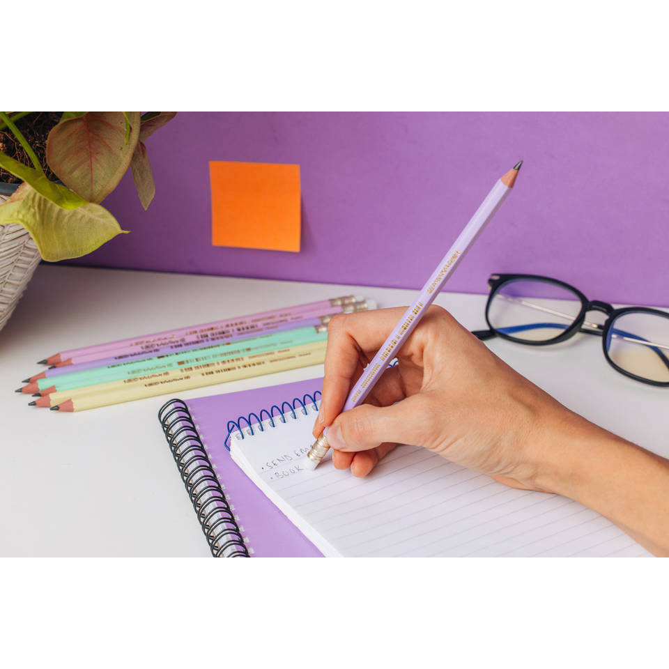 BIC Evolution HB potloden met gum - 5 stuks