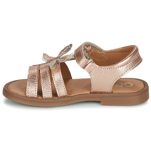 GBB - NOLILA - Rose