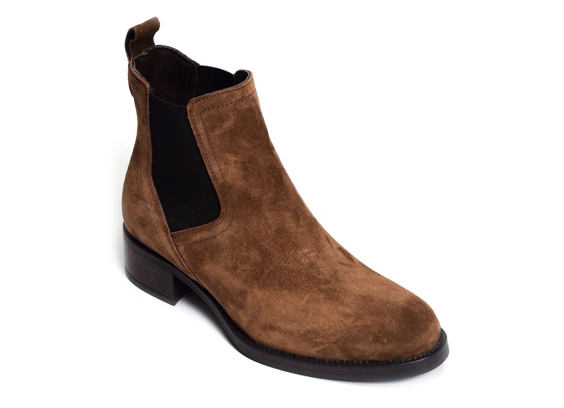 Alain2 2637 camel