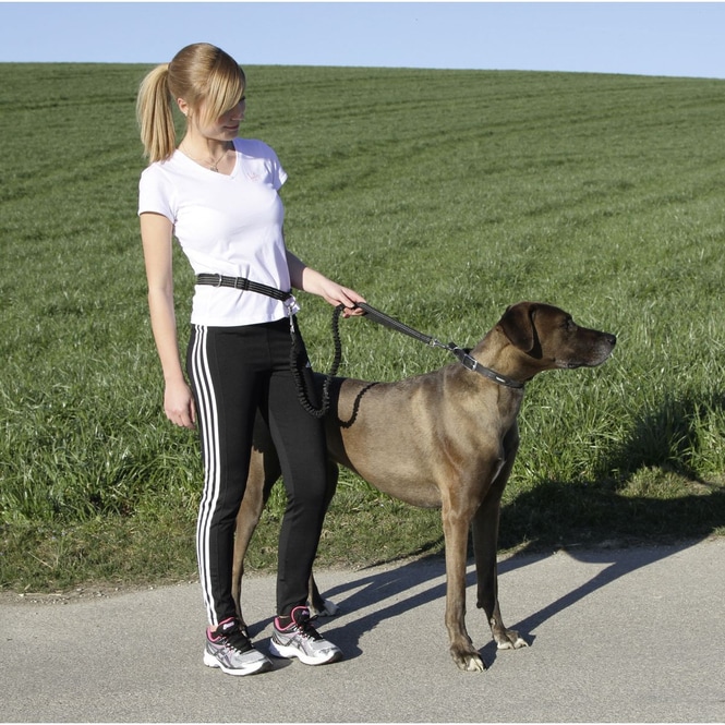 Jollypaw - Hundezubehör - Bauchgurt mit Leine - schwarz