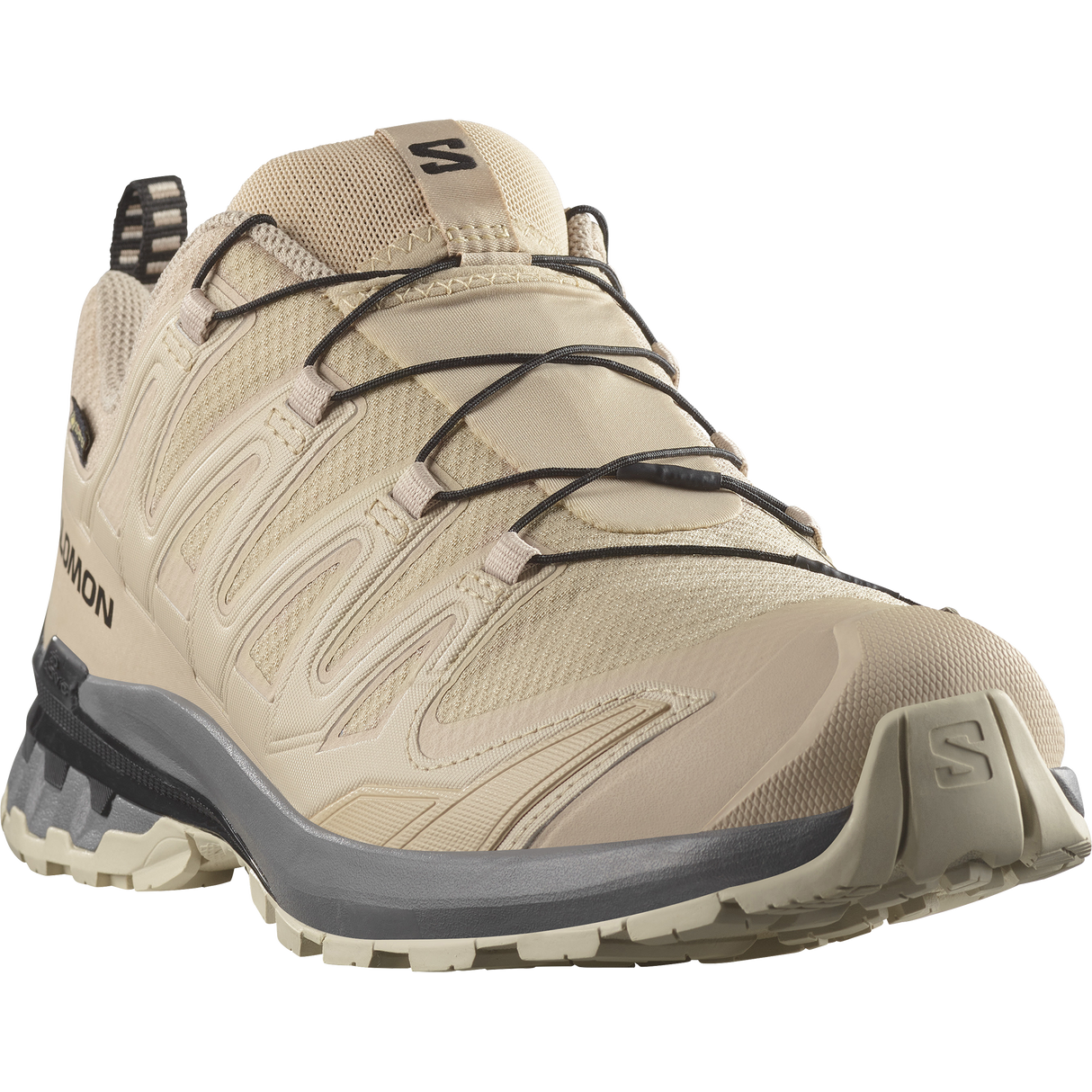 Salomon<br>XA Pro 3D V9 GTX M
