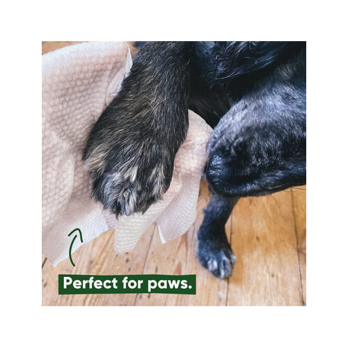 Beco Bamboo Dog Wipes - Coconut