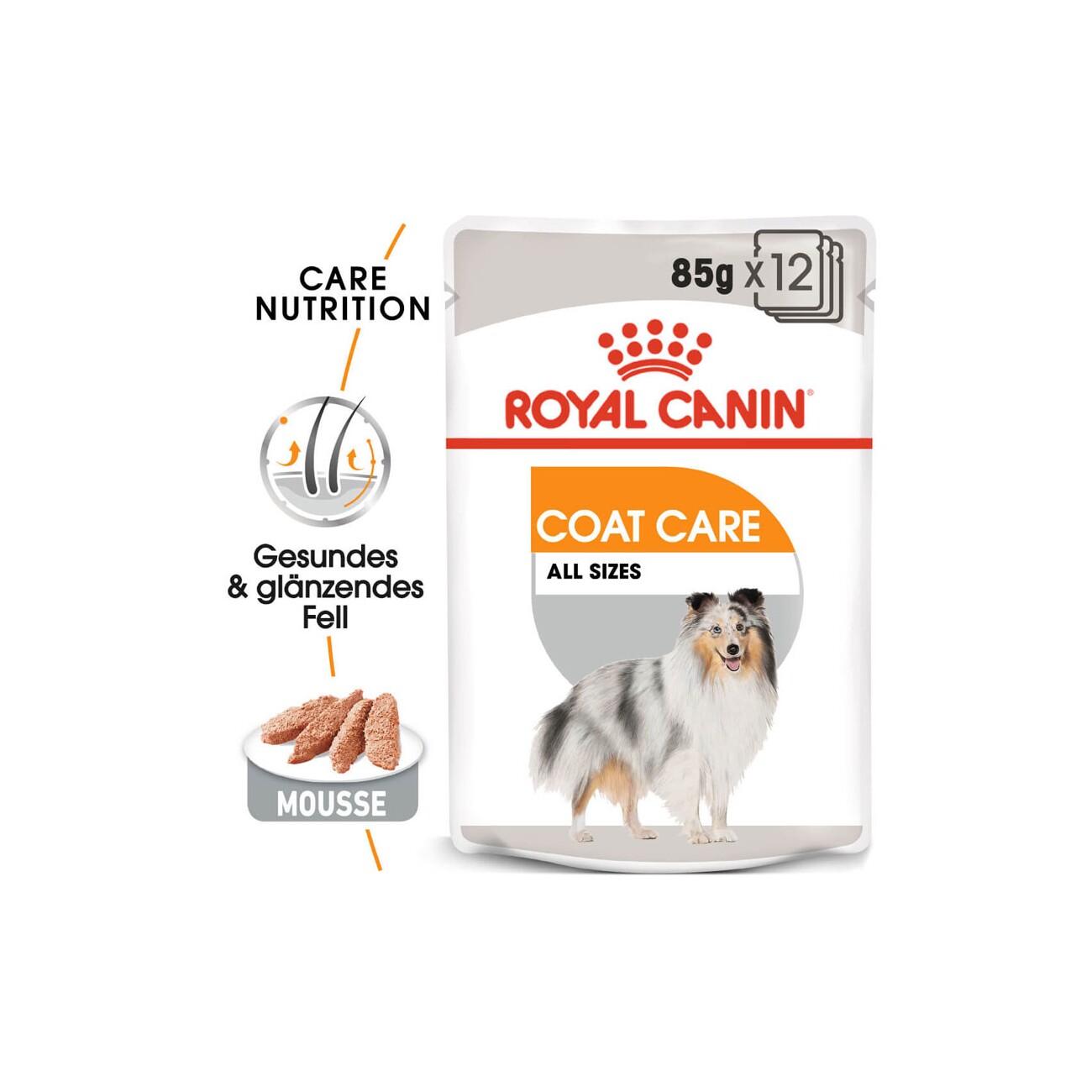 ROYAL CANIN Coat Care Adult Mousse 12x85 g