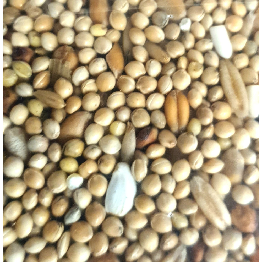 Graines pour grandes perruches sac de 3 kg pour oiseaux