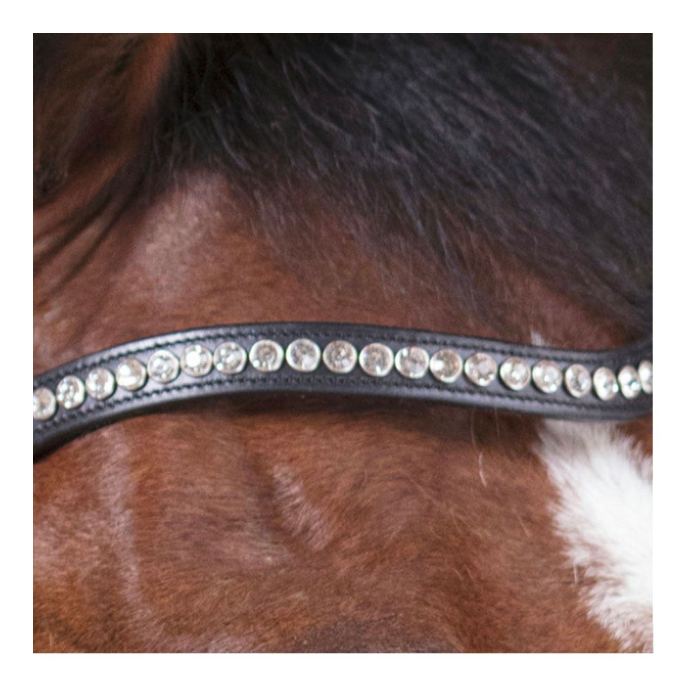 Norton PRO STRASS - Bridon noir