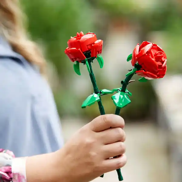 40460 Rosen