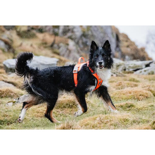 Hurtta Weekend Warrior Harness
