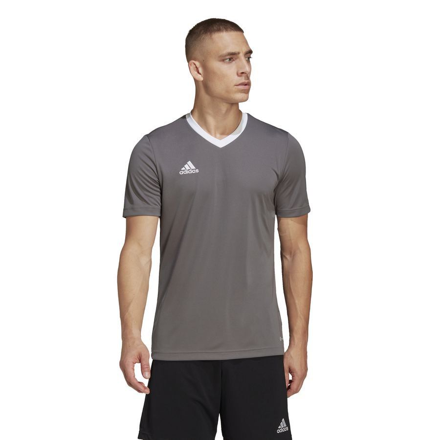 adidas T-shirt d'Entraînement Entrada 22 - Gris/Blanc