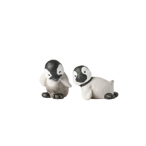 Klarborg Futte & Gumbi Babypingviner