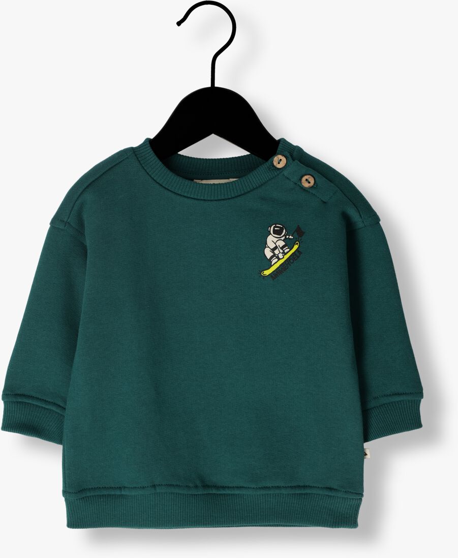 AMMEHOELA groene ammehoela sweater am.rocky.53