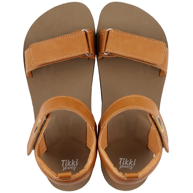 Tikki TIKKI morro camel