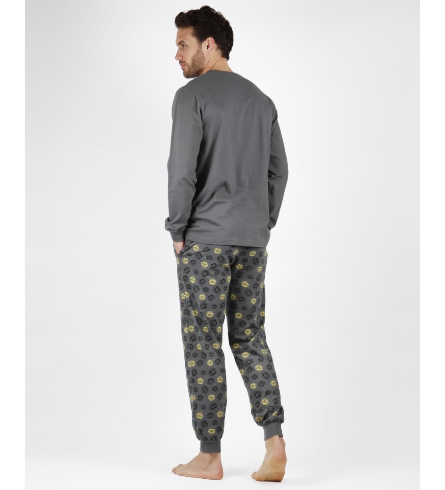 Pijama de manga comprida cinza com estampa de animais da Disney
