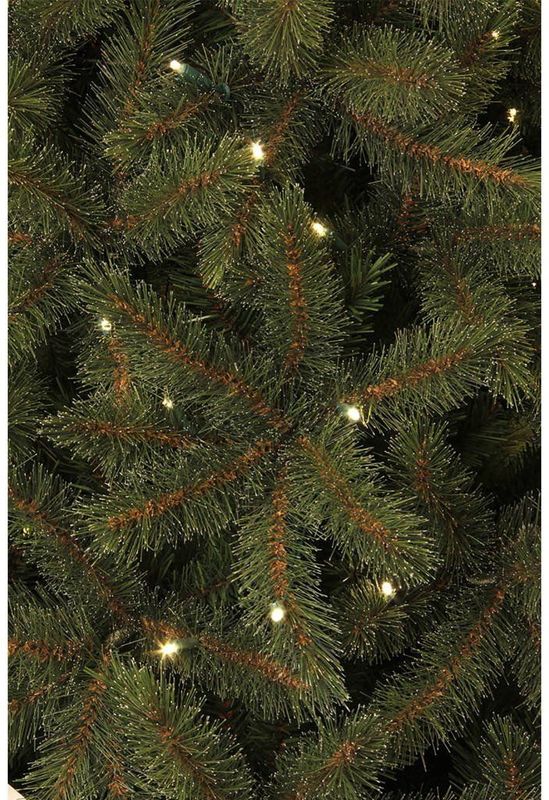 BlackBox Toronto Kunstkerstboom LED - H155 x D102cm - Groen