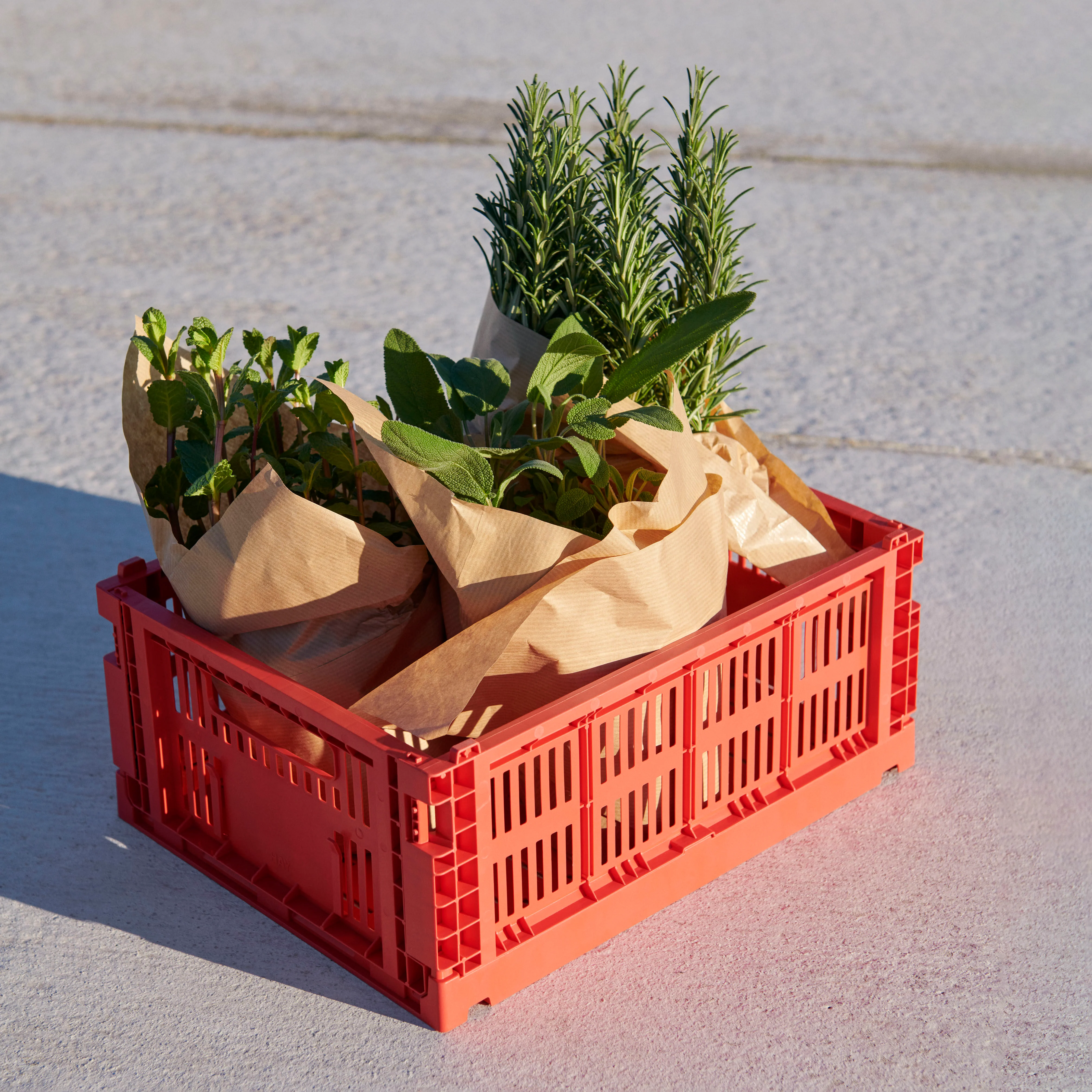 COLOUR CRATE - Panier | Rouge