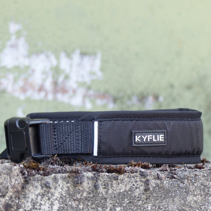 Laisse ceinture élastique Otium