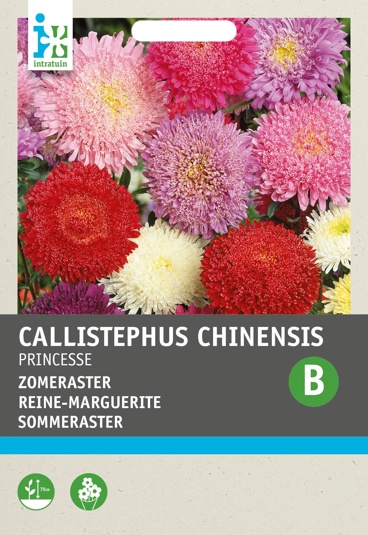 Intratuin bloemenzaad Zomeraster gemengd (Callistephus chinensis 'Princesse')