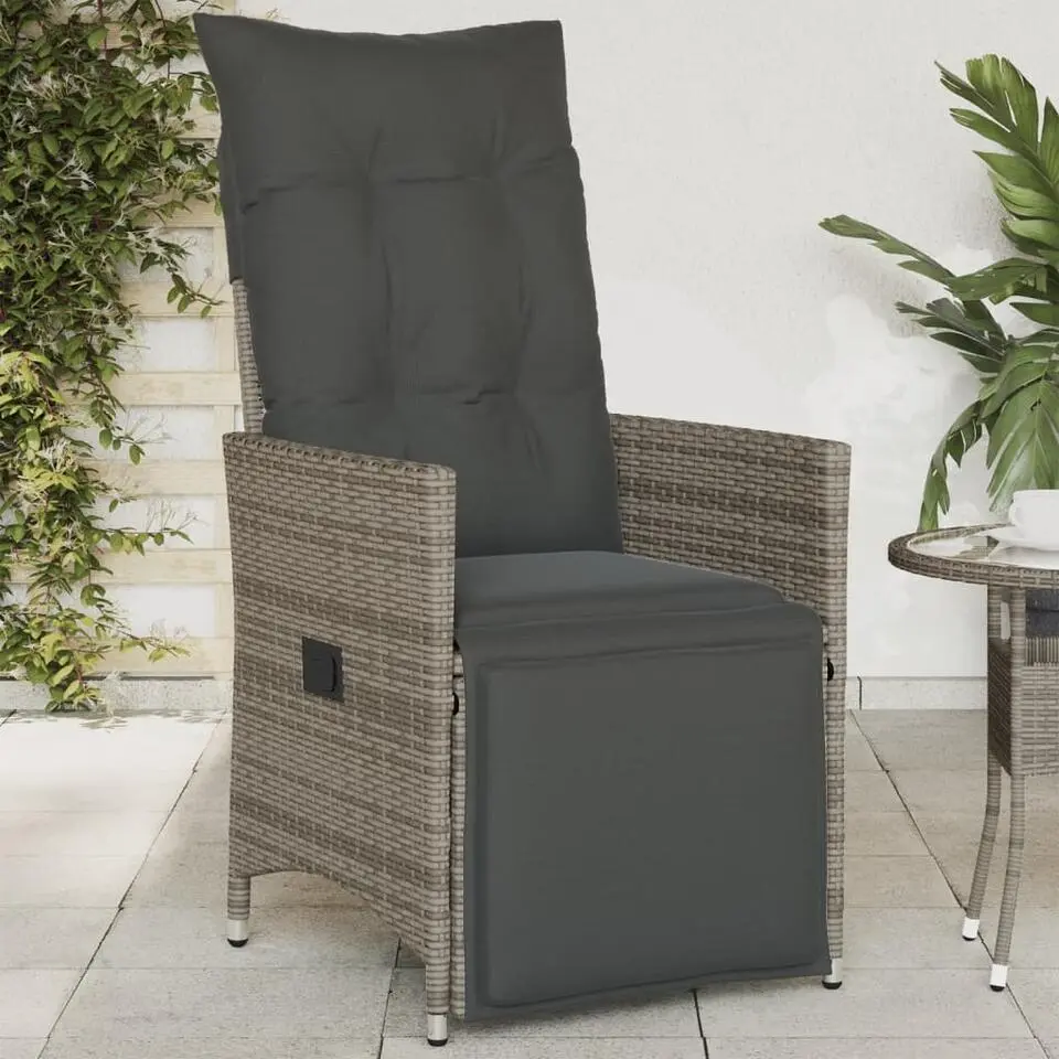 vidaXL - Tuinstoel - Grijs - Poly rattan