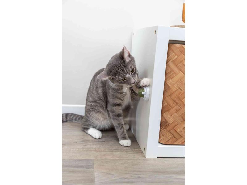 Trixie Katzenminze Ball mit Halterung, ø 5 cm Snack-Spielzeug