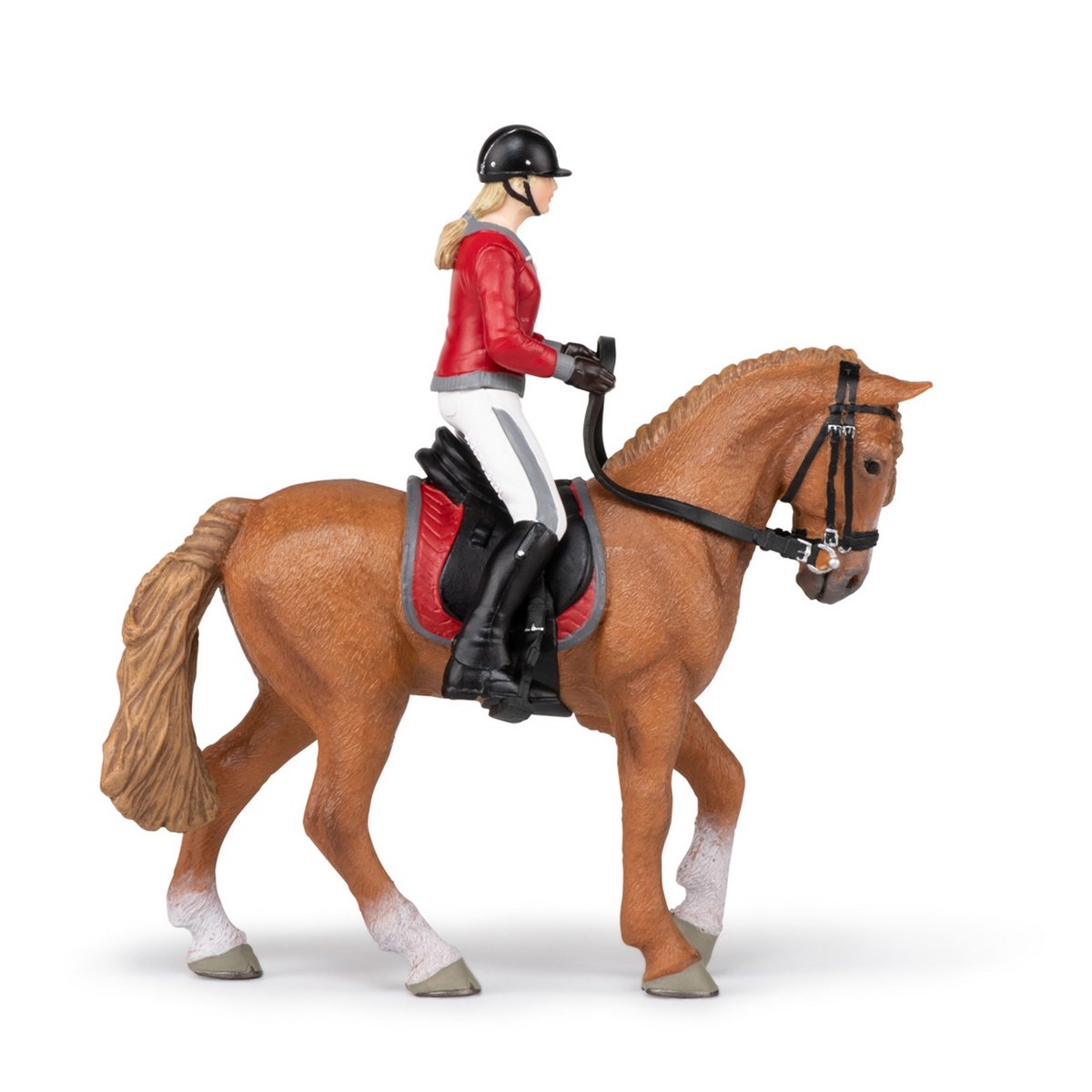 Cheval de promenade et sa cavalière