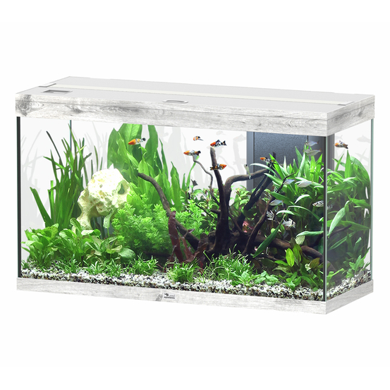 Aquarium équipé Splendid Led 2.0 Chêne Blanc L.100xP.40xH.61cm