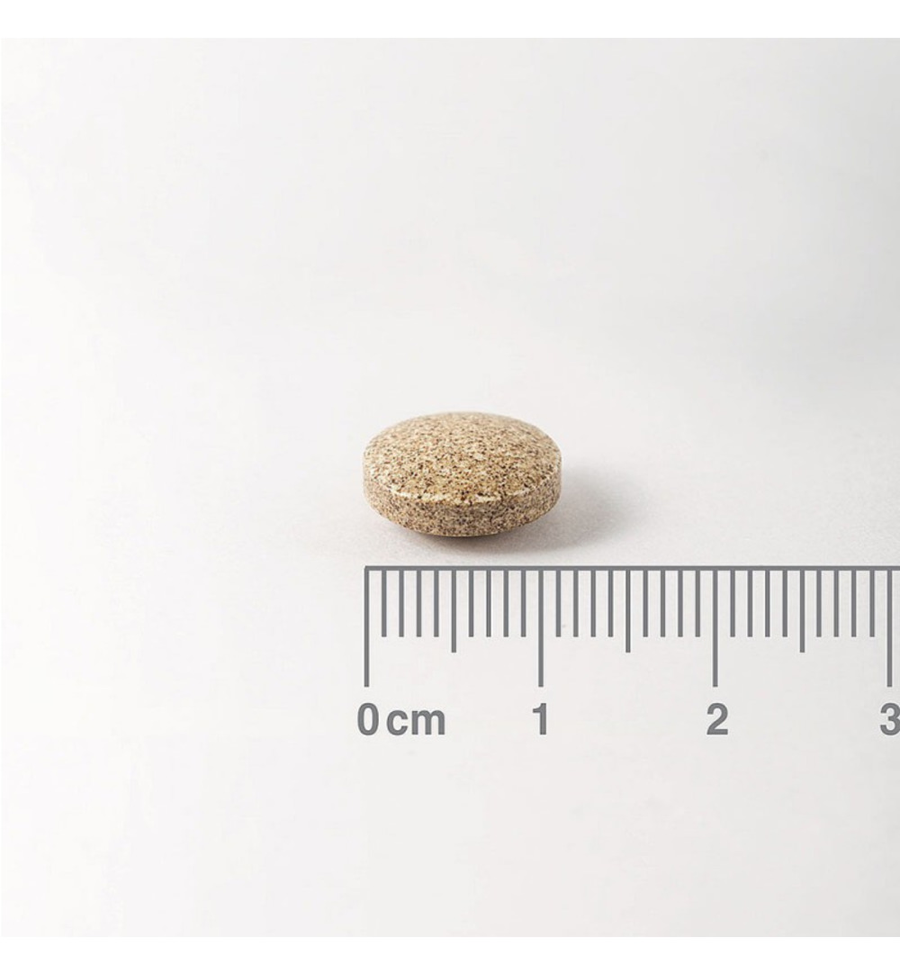 Lamberts Ginkgo 6000 (180 tabletten)