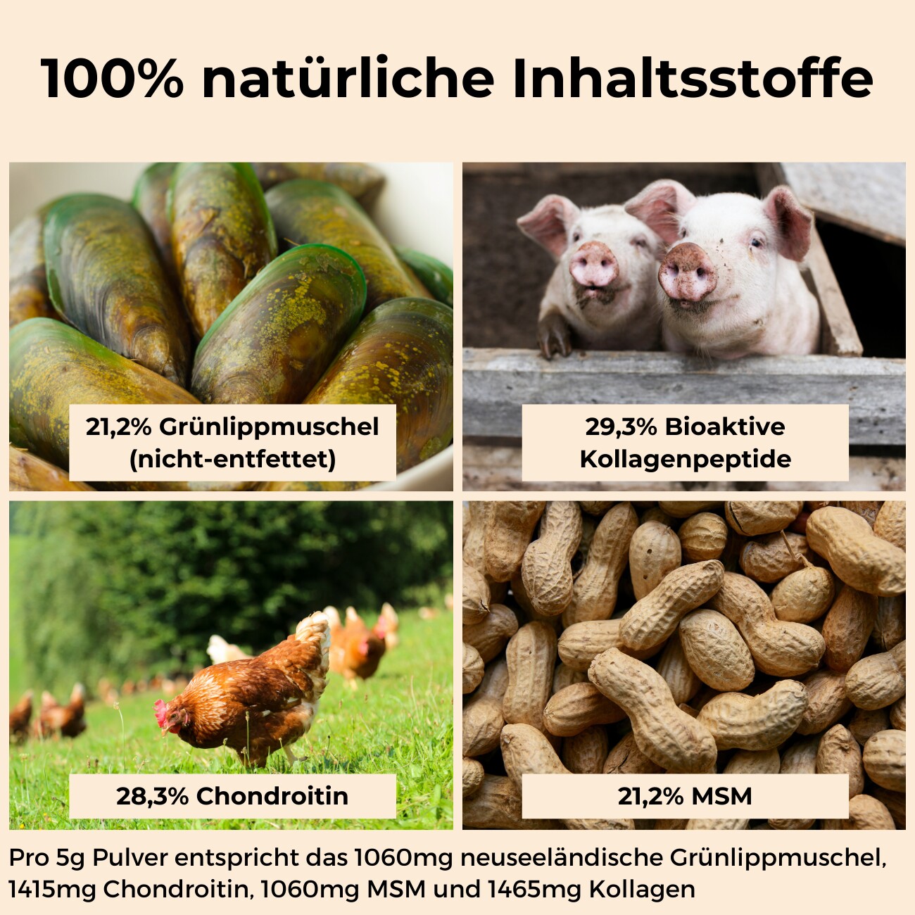 Dog-Native GelenkFit für Hunde, natürliches Gelenkpulver, Gelenk Fit Pulver mit Grünlippmuschel, MSM, Kollagen & Chondroitin für Gelenke & Knochen 175 g