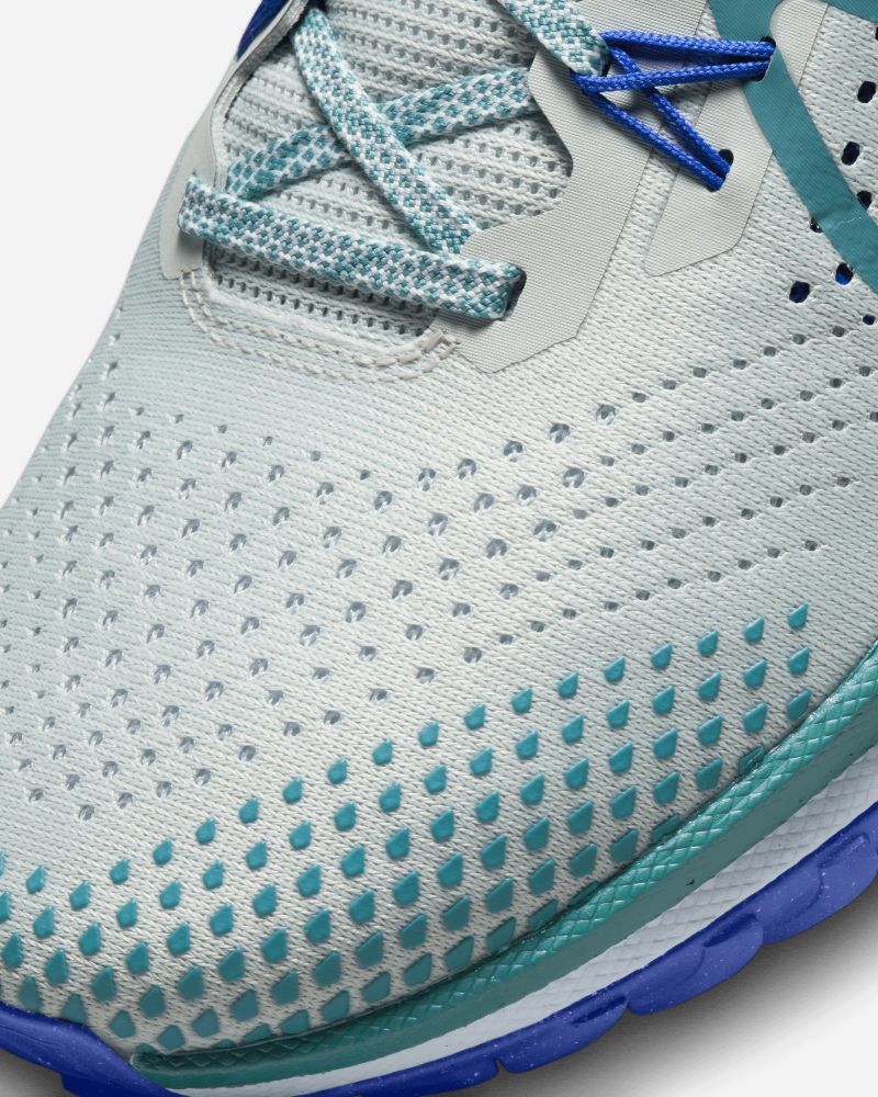 Chaussures de trail Nike Pegasus Trail 4 Blanc pour homme
