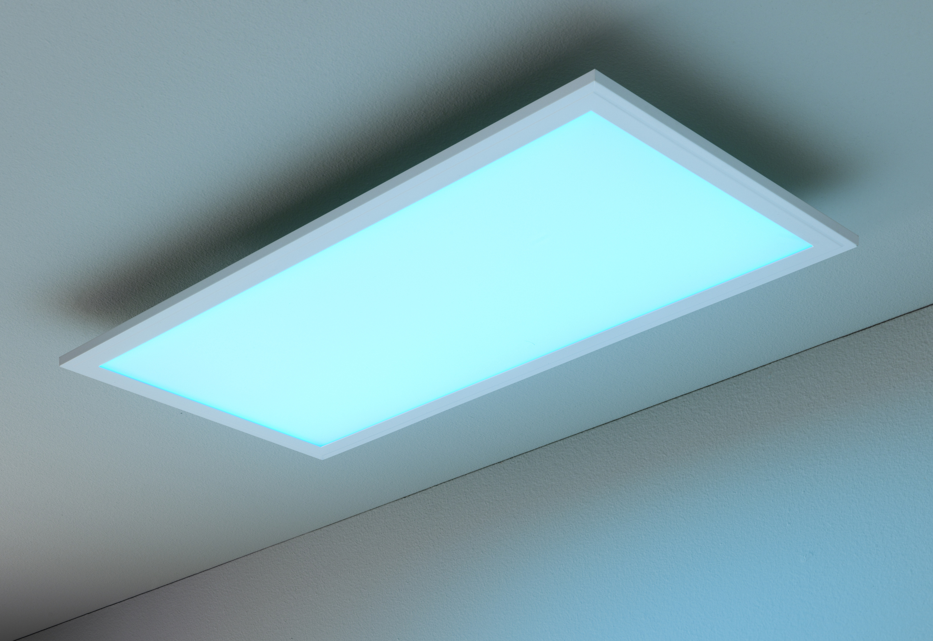 Panel JALDY