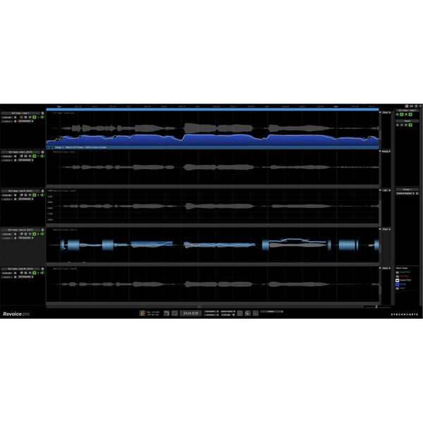 Synchro Arts Revoice Pro