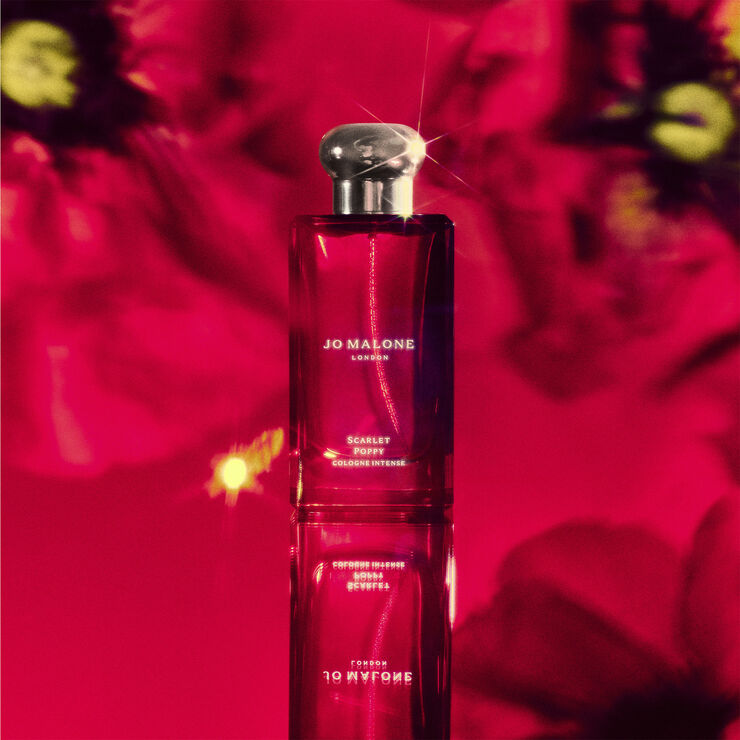 Jo Malone London Cologne Intense Discovery Collection