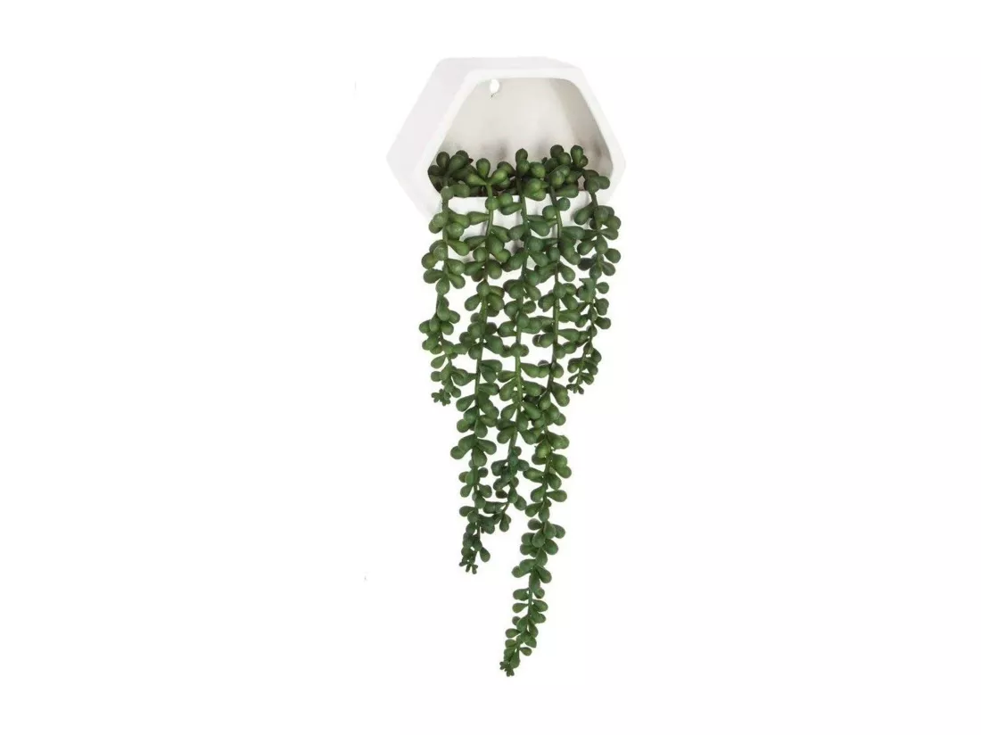WELL HOME - Plante murale contemporaine