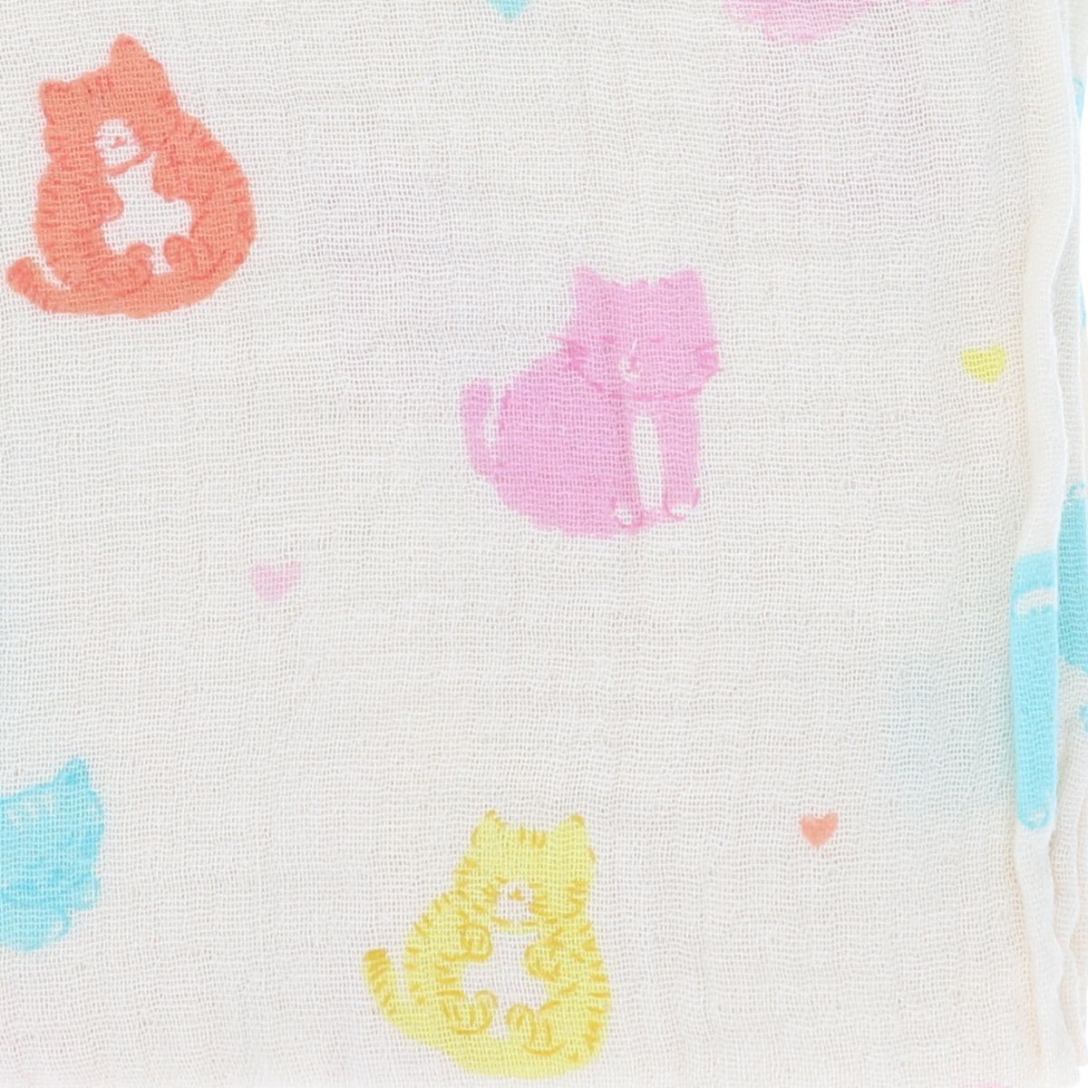Lange chats pastel - Miaou