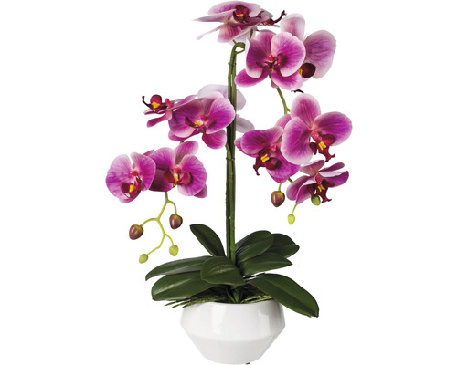 Kunstbloem vlinderorchidee 
