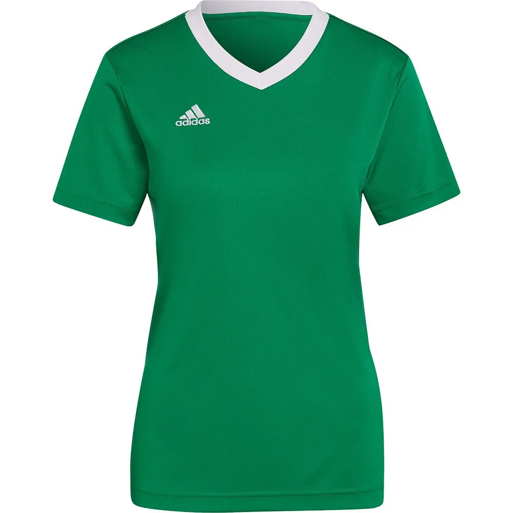 Camiseta de manga curta adidas Entrada 22