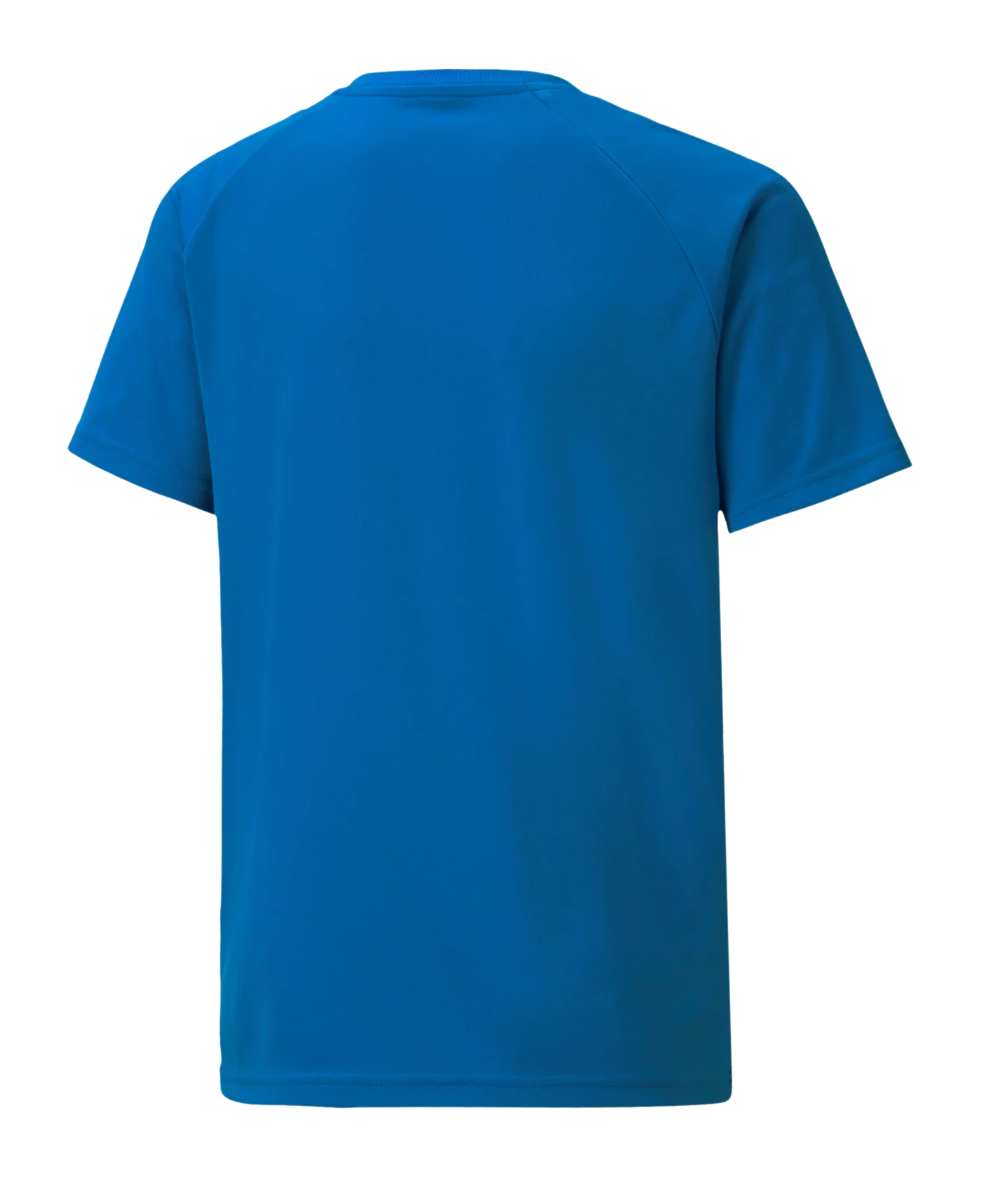 PUMA teamLIGA Striped Trikot Kids Blau Schwarz F02