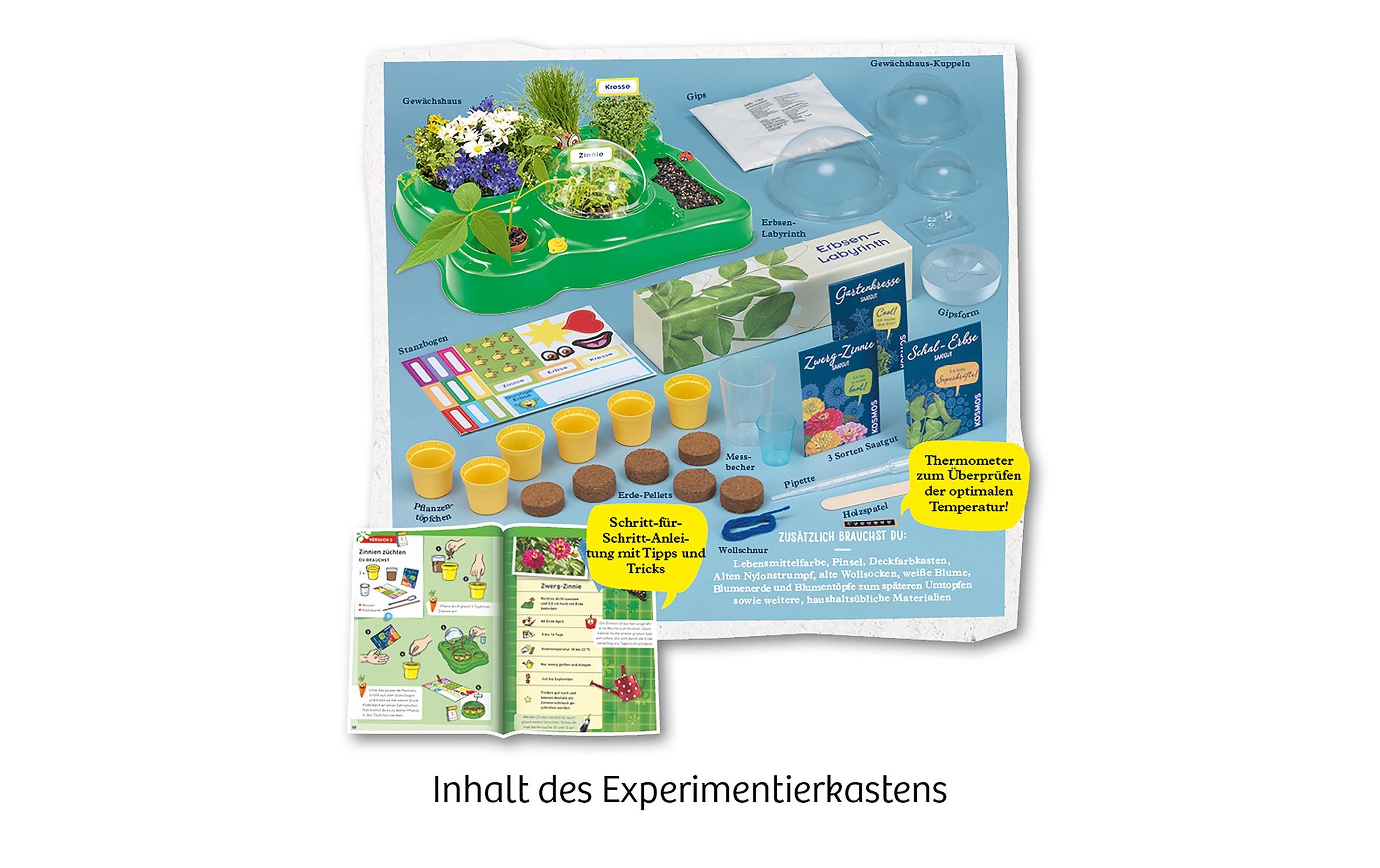 Experimentierkasten Mein erstes GewächshausEigenen Garten pflanzen