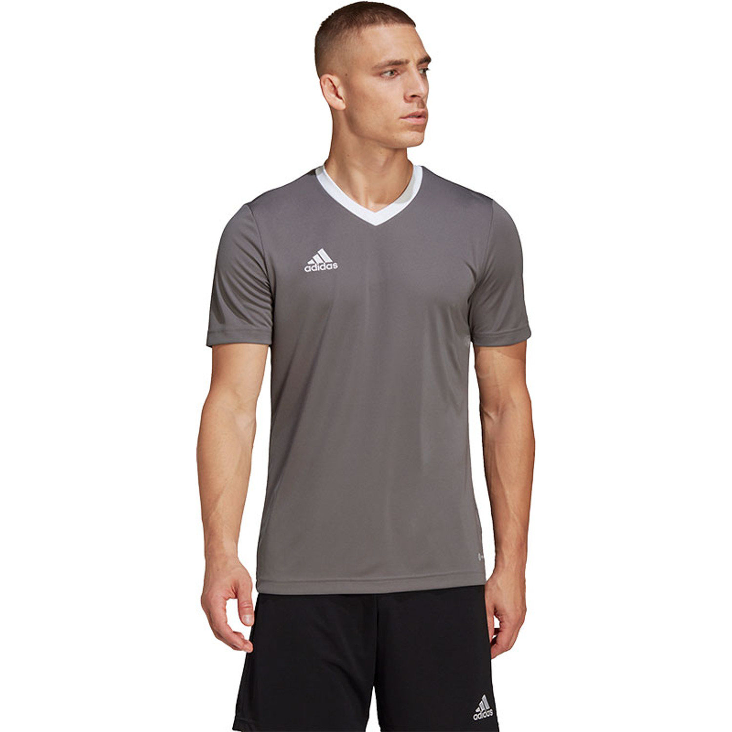adidas Entrada 22 Training Shirt
