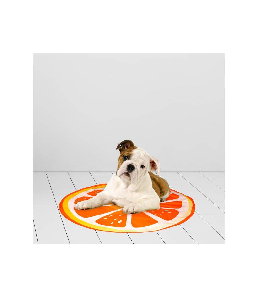 Paris Prix - Matelas Rafraîchissant Pour Animaux fruit 60cm Orange