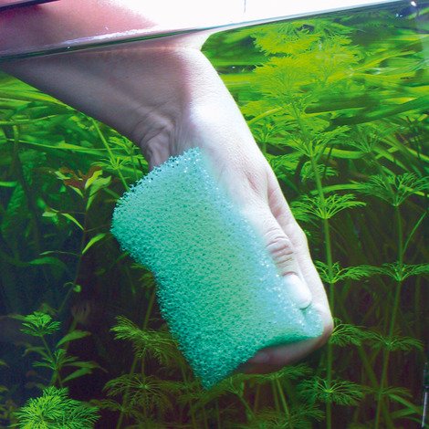 JBL Spongi Aquariumspons