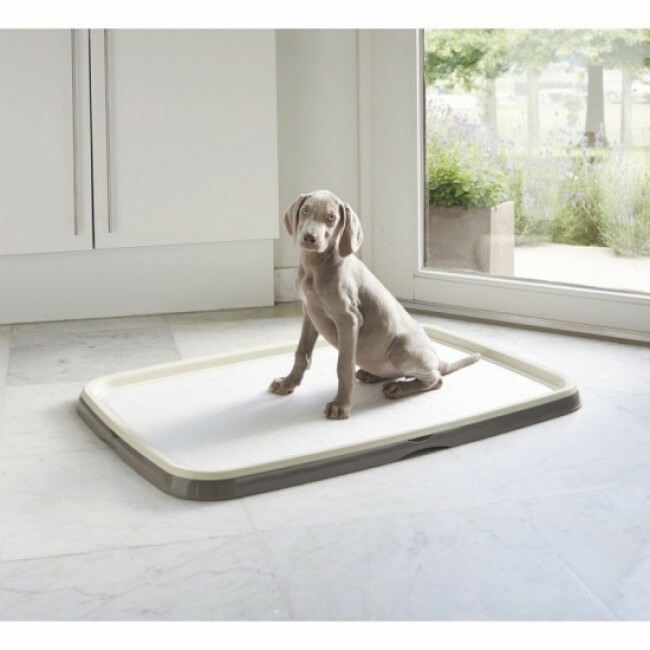 Starter kit puppy trainer Savic pour chiot