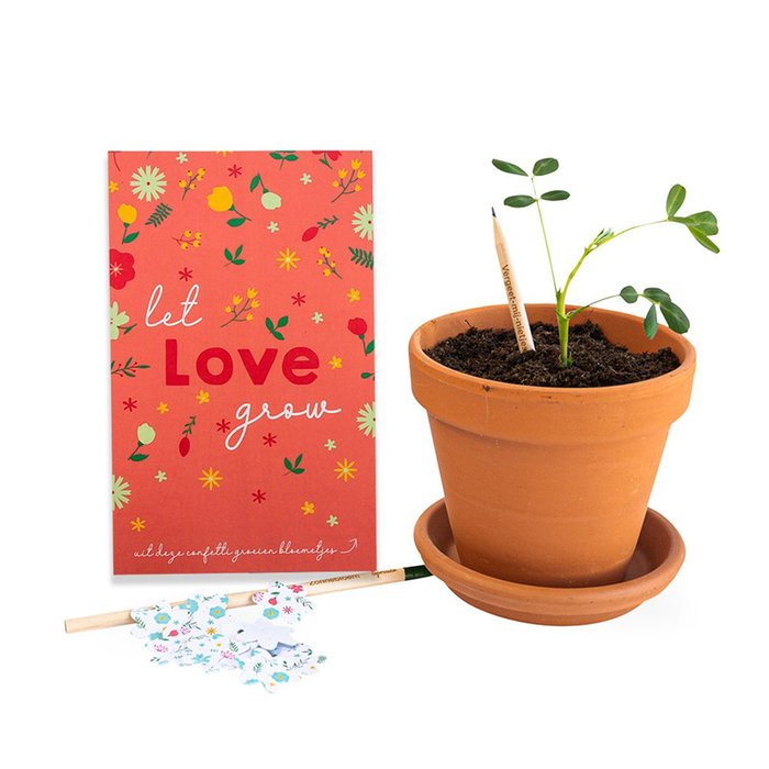 Bloeipotloden - Let Love Grow   confetti