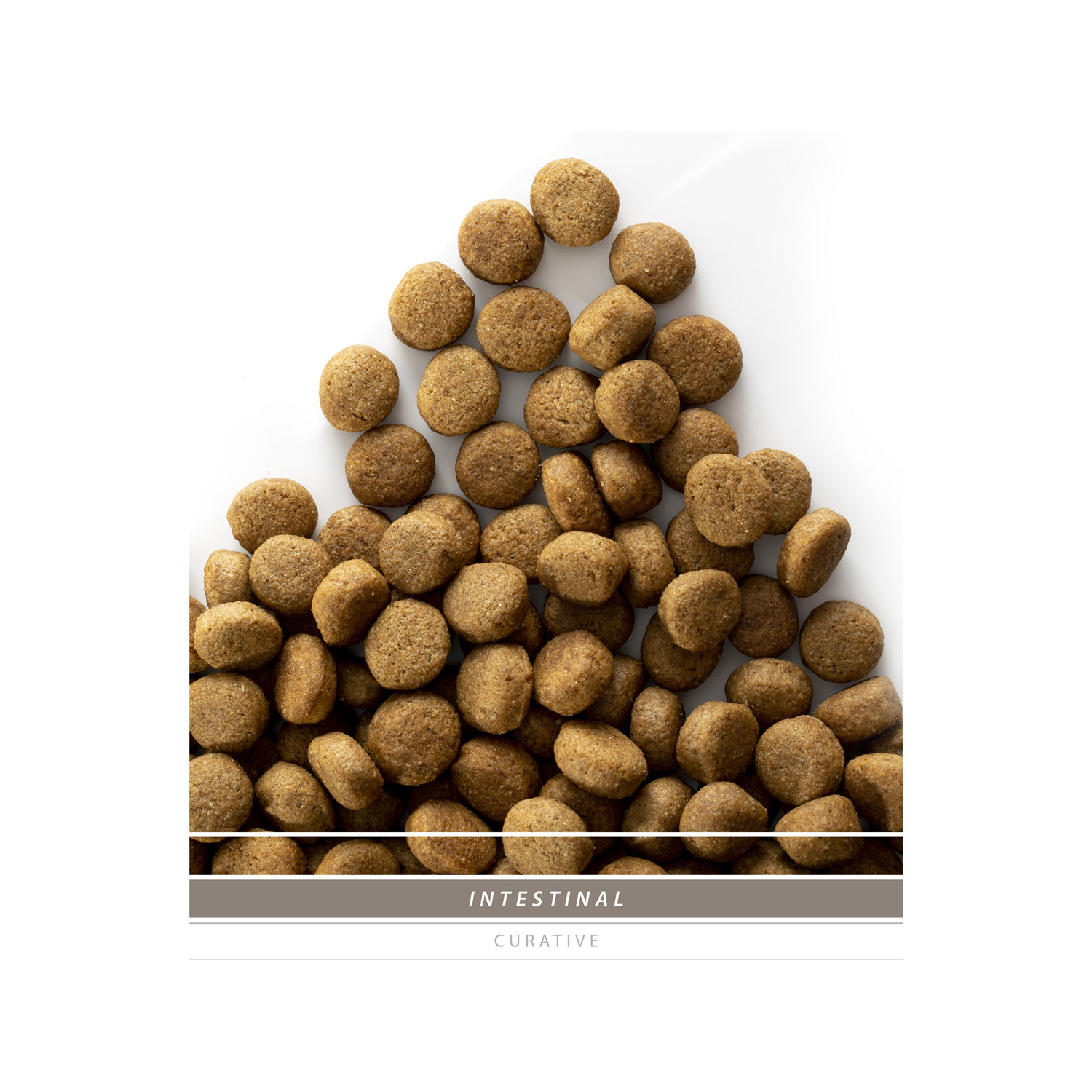 SANIMED Intestinal Dog