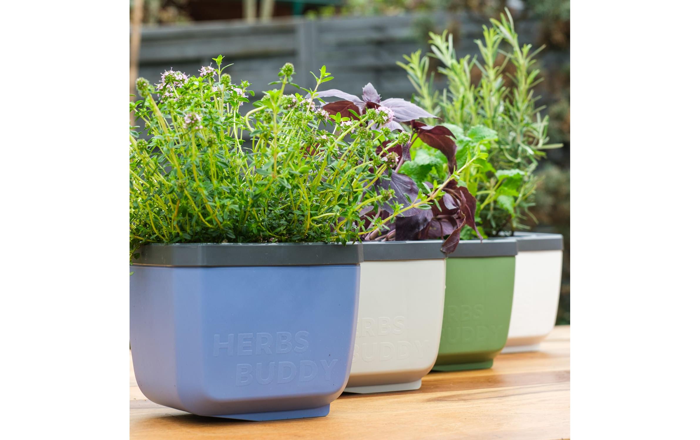 HERBS BUDDY Kräutertopf Grau/HellgrauKräutertopf mit Wasserreservoir und Kippfunktion