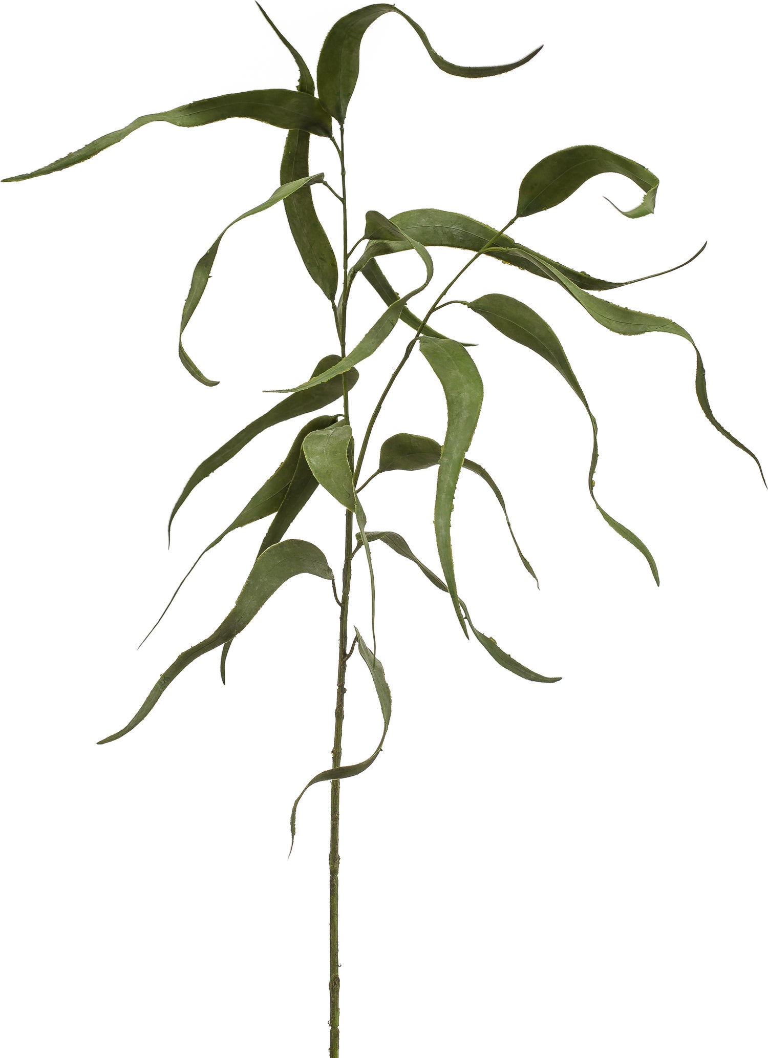 Emerald kunsttak Eucalyptus 78 cm