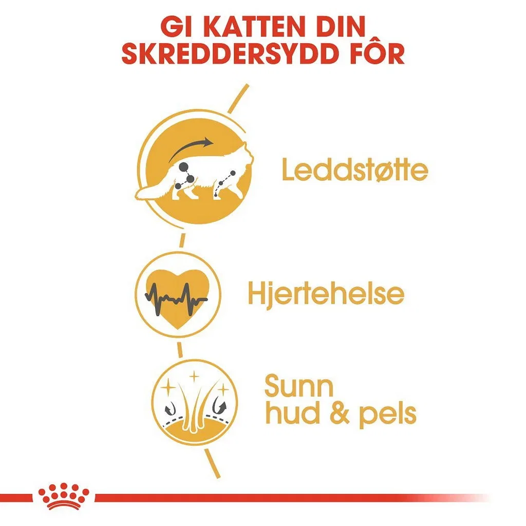 Royal Canin Royal Canin Maine Coon Adult 4 kg