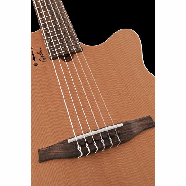Godin Multiac Encore