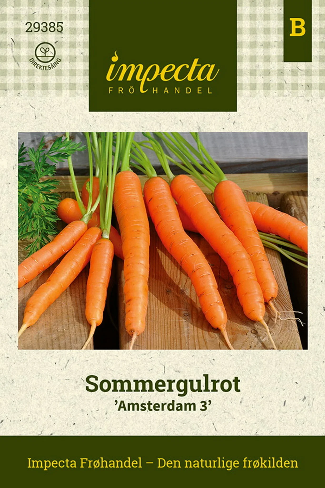 Daucus carota 'Amsterdam 3' Sommergulrot 'Amsterdam 3'